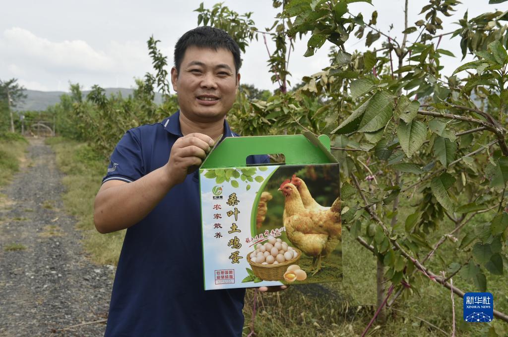 娱乐平台用户登录